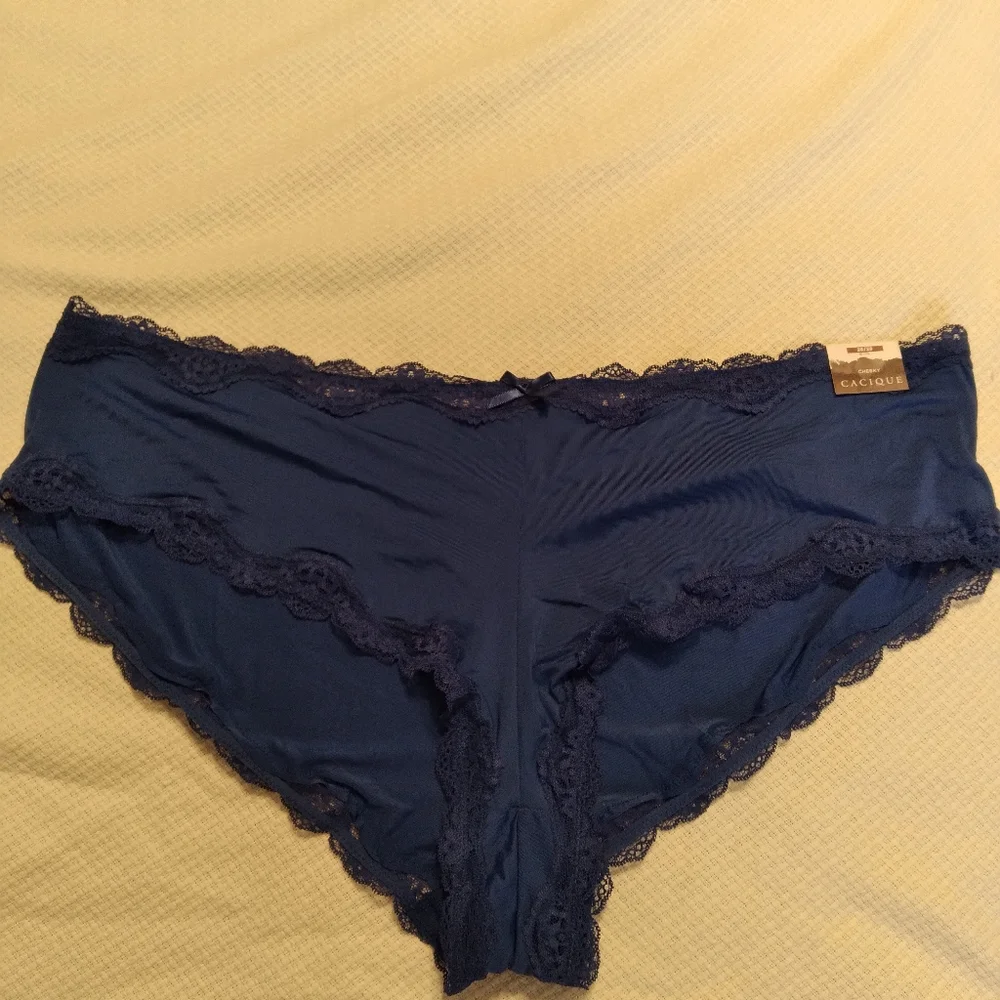 Lot of Lane Bryant cheeky panties